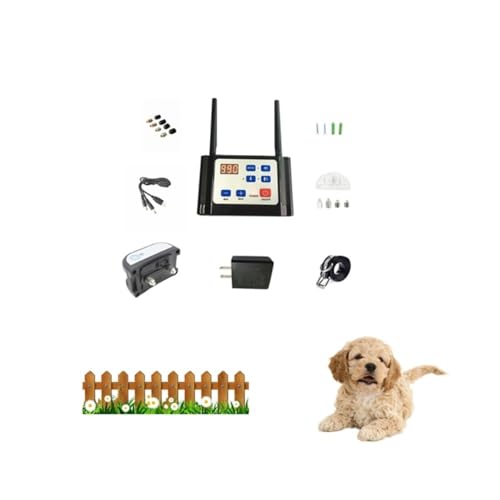 Utilisation du système en extérieur avec plusieurs chiens