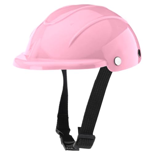 Cat Helmet - ^poCNE]ԈSwbg | y ^qLpybgpi p sEAEghA