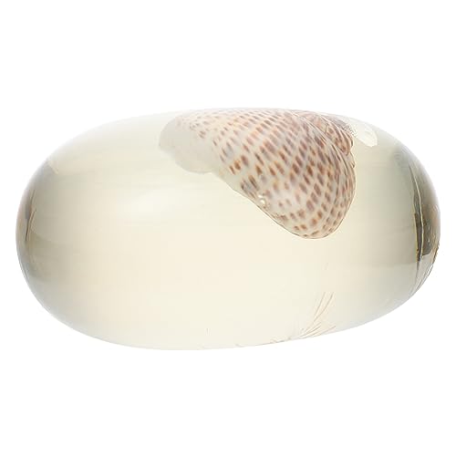 VALICLUD 1 Pieza Jabón Hidratante de Ácido Transparente Cuerpo y Jabón de Limpieza Suave con Oceánico Cuidado Exfoliación