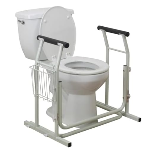 Drive Medical Stand Alone Toilet Safety Rail, White, EA