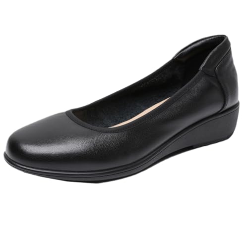 [Z_ `V] [q[ EFbW\[ pvX ubN [Jbg i[XV[Y fB[X EhgD wlC 23.5cm ꂢ pvX tH[} 2 Ӊ  q I  l킢 r h h