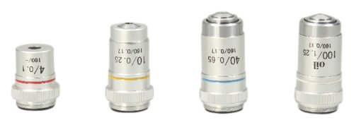 Microscope objective lens / 100 times