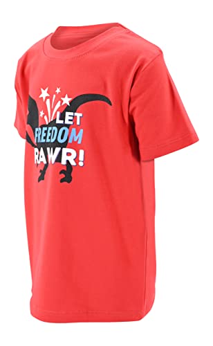 Image of Boys Short Sleeve Funny Graphic Tees for Toddler to Big Kid