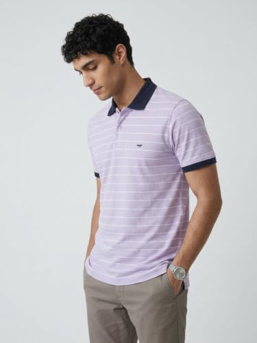 Image of Park Avenue Men Slim Fit Stripe Pattern Pure Cotton Polo Neck Half Sleeve Casual T-Shirt