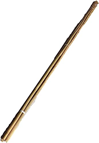 P_{Y (А) VR| | 300cm10{() ߒ| ߂ | ̒| zp z p ݎx |x Y