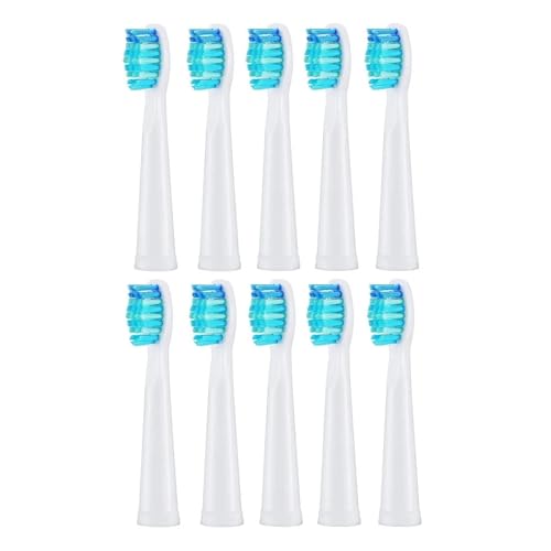 10 �����p�u���V�w??�b�h Seago �ƌ݊�������AFairywill �d�����u���V�w�b�h�уu���V���t�B�����̃N���[�j���O�ƌ݊�������(10pcs white)