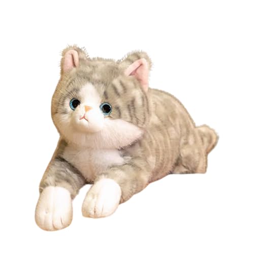 �L�̕������v���b�V�� - 50cm �� ���� �{�f�B�s���[�g�C - �l�R�̂ӂ��ӂ��������� - �q�� ���̎q �a�����v���[���g ��l�̃X�g���X���� ���� ���s ���Q �����T�|�[�g