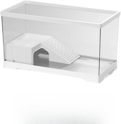 Ornatego ^Jp AN ^[g^N P[X NKEJE঒ޗp ~ߕtEoh~\ ȒP ώ@EɐBEɍœK fUC P[WZbg (zCg [xA^N + ],i50x2