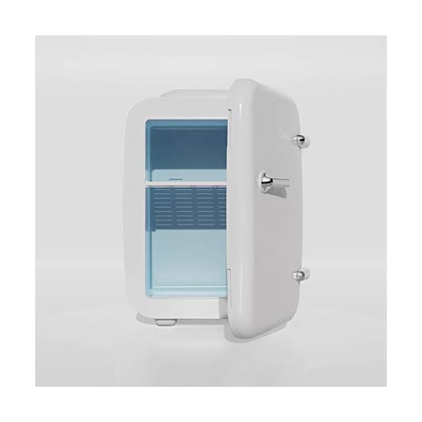 CAYNEL Mini Fridge Cooler and Warmer, (4Liter / 6Can) Portable Compact