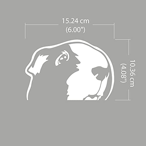 Image of WIRESTER 6 inch Clear Vinyl Decal Sticker Decoration for Car Window (Or Any Flat Surface) - Guinea Pig