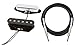 Fender Tex-Mex Telecaster Pickups Set - Bundle with Instrument Cable
