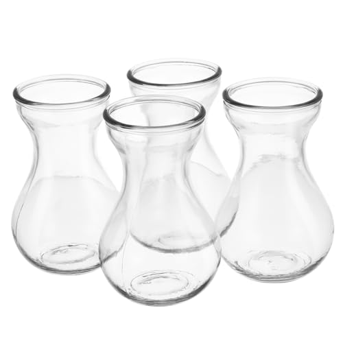 Veemoon 4 Pezzi Vasi in Vetro Trasparente per Giacinti Vasi Piccoli per Fiori da Tavolo Contenitori Stabili per Piante Idroponiche e Decorazioni Casa e Ufficio