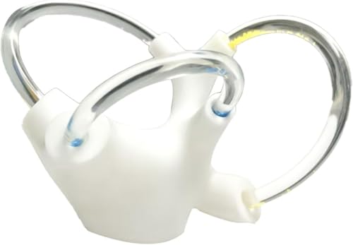 Modèle de structure cochléaire haut de gamme 5X et canaux semi-circulaires pour recherche médicale