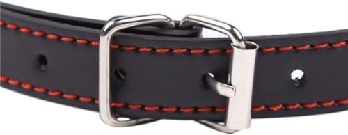 Mouth-Gag-Ball-Silicone-Leather-Dog-Bones-Gag-Mouth-Adjustable-Strap-Toys-Mouth-Ball-Gagger-for-Mouth-Portable-for-Women-K194