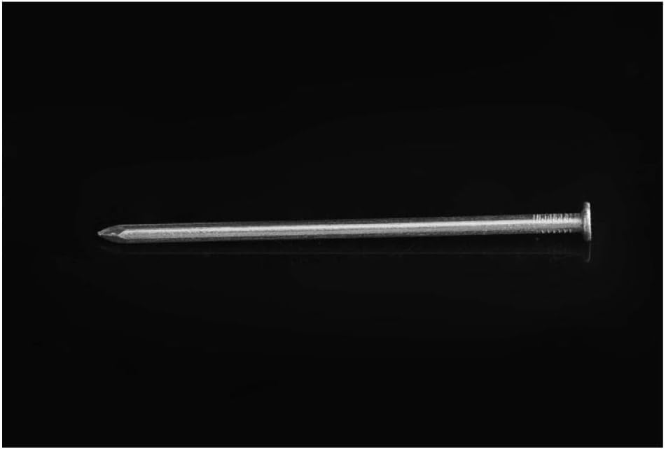 Clavos con cabeza de alfiler, clavos for tarimas, clavos de acero inoxidable 304, clavos redondos for carpintería, clavos for pared, clavos pequeños alargados, hogar diario-3.5 pulgadas (5 piezas) ( C