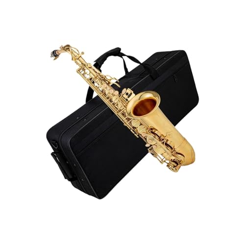 vdlAgTbNX EAgTbNX ^JbJ[dグ S[h E ؊Ǌy {bNX}EXs[Xt