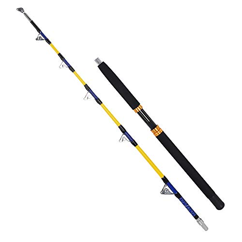 Canne à pêche de 1.65/1.8/2.1 m à la traîne en mer...