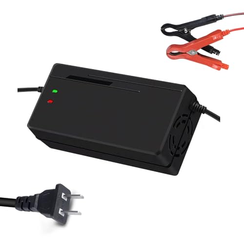 48v Battery Charger
