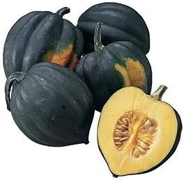 Miniatura 6 de Table Queen - Semillas de calabaza de invierno de bellota para plantar, más de 30 semillas de reliquia por paquete, semillas de jardín de (Isla's