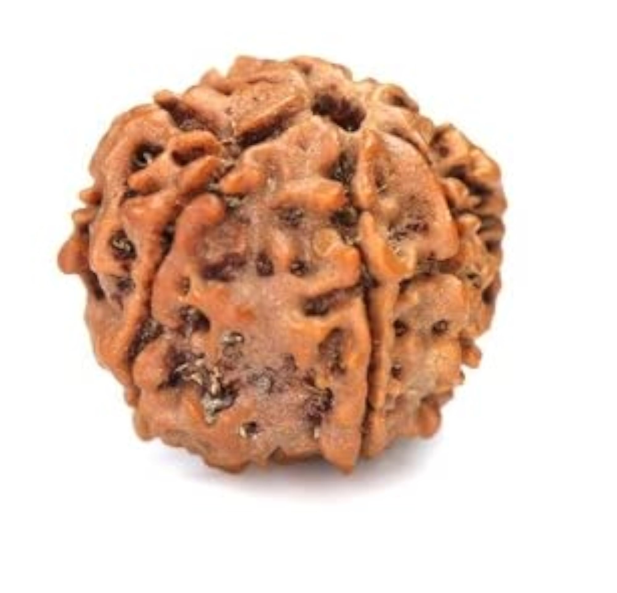 TRINETRA GEMS Pure 7 Mukhi Rudraksha Pendant, Natural