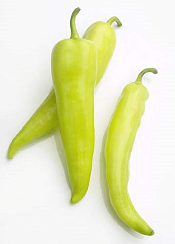 Sweet Banana Pepper Seeds 25 Count COOL BEANS N SPROUTS Brand. Heirloom. Non-GMO. Home Gardening.