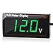 DC 12V Voltímetro Digital de Coche Medidor de Voltaje de Pantalla LED Panel Medidor de Voltaje Digital de Automóvil 12V Medidor Voltímetro para Vehículo Motocicleta Camión ATV SUV (Verde)