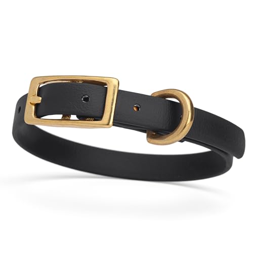 Image of Viper Biothane Heavy Duty Waterproof Dog Collar Strong Coated Nylon Webbing w /Solid Brass Hardware Odor-Proof Easy to Clean High Performance Fits Small Medium or Large Dogs, Black