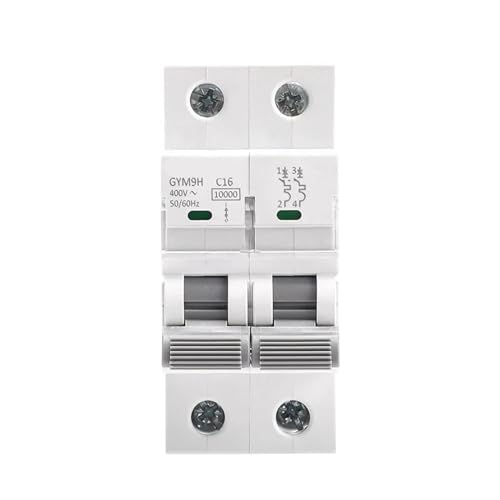 Disjoncteur 10KA 2P courbe C protégeant les circuits électriques 220V de maison