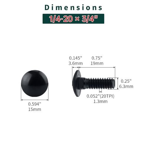 Image of 1 /4-20 x 3 /4 inch Black Carriage Bolts with Nuts and Washers Kits (20 Sets), 304 Stainless Steel 18 /8, Black Finish, Round Head, Square Neck, Heavy Duty Bolts, Indoor Outdoor Fastening Bolts, Fayeploo