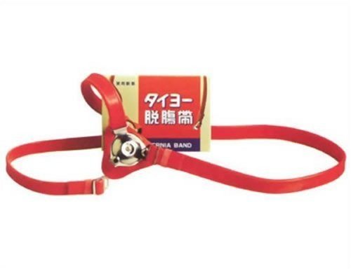 zÕi쏊 ^C[E E lp (85cm) × 5Zbg