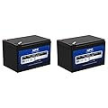 NPP 12.8V 12Ah (2Pcs) LiFePO4 Deep Cycle Battery, Lithium Iron Phosphate Battery Built-in 10A BMS with 4500-8000 Cycles Times for RV, Solar, Off-Grid, Home Storage