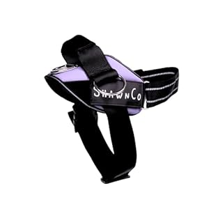 ShawnCo Essential Pro Dog Harness, No-Pull Pet Vest with 3 Leash Clips and Removable, Reflective Side Patches, Adjustable and Padded Harness for Small, Medium and Large Dogs (ICY Lilac, M)