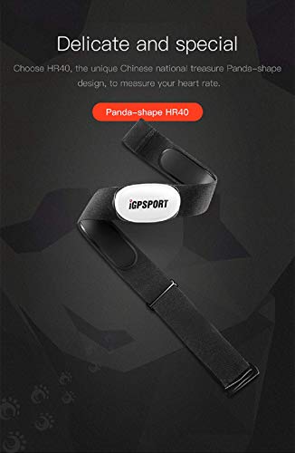 iGPSPORT HR40 Monitor de Ritmo cardíaco Bluetooth & Ant+ con Correa de Pecho para Correr, Ciclismo, Gimnasio y Compatible con Garmin Polar Wahoo - Imagen 5