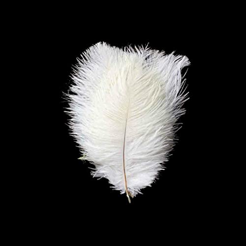 Balsa Circle 12 Pcs 13-15-Inch Long White Authentic Ostrich Feathers For Centerpieces Wedding Party Table Decorations #TOP3