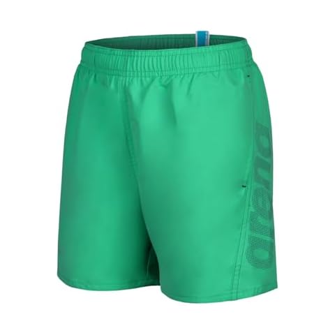 Arena Boys Logo Boxer Beach Shorts Cover