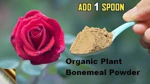 Image of Neem Cake Powder & Bone Meal Fertilizer Combo (5Kg Each, Total 10Kg) | Organic Soil Booster | Natural Phosphorus & Nitrogen Fertilizer for Vegetables, Flowers & All Plants