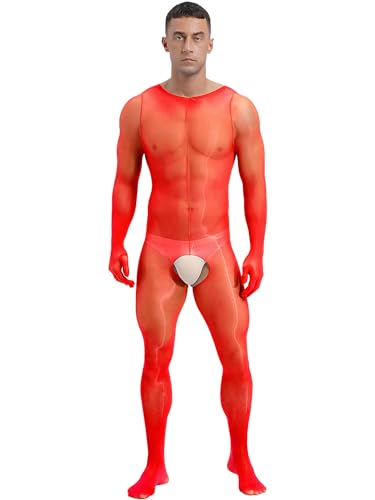 iiniim Men's Sheer Mesh One Piece Full Bodystocking Tights Bodysuit Zentai Pantyhose Nightwear