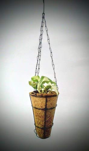 COIR GARDEN Coco Gardening Pots with Stand Conical Hanging Basket, 9 Inch -2 Pieces (Diameter -24 cm, Height -31 cm)