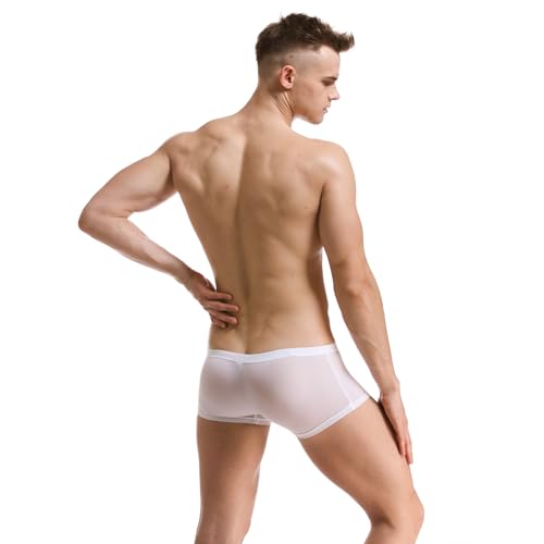 Mens Underwear Sexy See Through Boxer Ice Silk Boxers for Men Shorts Pants Breathable Comfort Trunks4