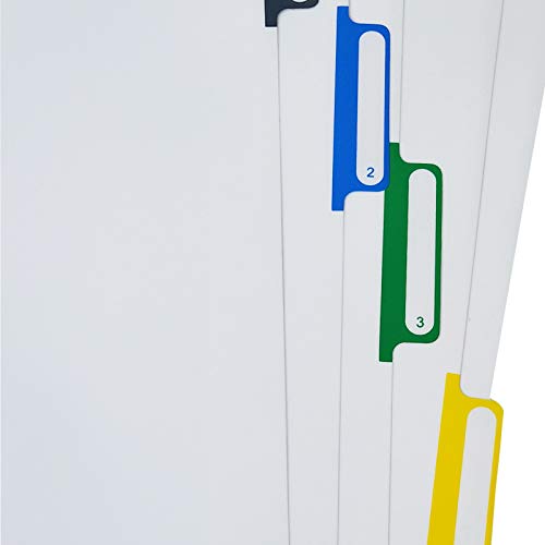 Amazon | A4 プラスチックバインダー インデックスタブ 仕切り 強化11