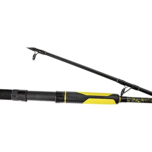 Black Cat Premium Welsrute Perfect Passion Spin Angelrute Spinnrute Wels Angeln Wallerrute 2,7m Wurfgewicht 60-200g