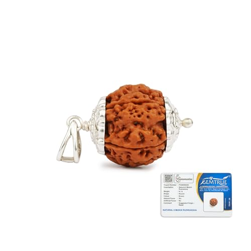 Image of Gemsmantra 6 Mukhi Rudraksha Bead With Silver Pendant 92.5 Purity with Sterling silver |Medium Size | Original Nepali | Natural and Lab Certified | Enhances Willpower, Confidence, Vitality, and Spiritual Growth For Men & Women