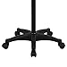 Topeakmart Rolling Salon Tray Aluminum Tattoo Tray on Wheels Adjustable Height Storage Utility Cart, Black