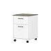 Bush Furniture Key West 2 Drawer Mobile File Cabinet, Pure White and Shiplap Gray