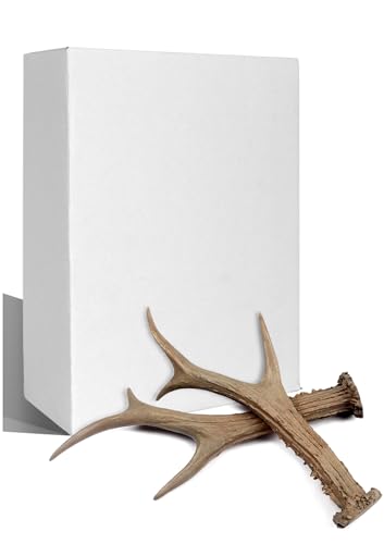 Joukavor Antlers Decor 1 Pair - Realistic Resin Deer Antler Ornaments for Winter Holiday Weddings Party Celebretions Brown