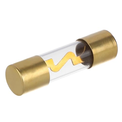VEXUNGA AGU Sicherung 40A Auto Audio Power Schutz Sicherungen 40 Ampere für Automotive Sicherheit Schützen Glasrohr Vergoldet Glassicherungen (5 Stück)