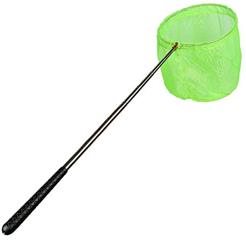 Best Net With Telescoping Handles