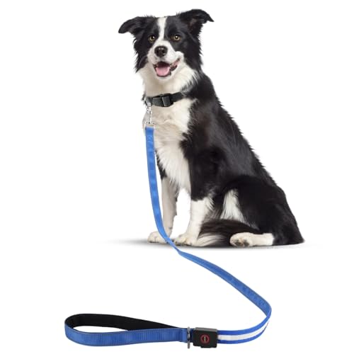 光るリード、1.2m LED 犬 リード 4モードライト、USB充電式大型犬 高輝度 小型犬 対応 ナイロン素材、ペット用 夜 訓練夜間安全 お散歩 (青)