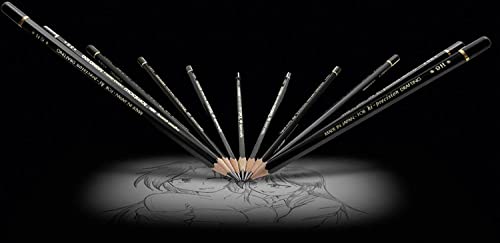 Image of Tombow MONO 100 Graphite Pencil, 1 doz. /Box, 12 Grades