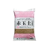サンアンドホープ 赤玉土小粒 2L ハイドロカルチャー・草花・野菜・観葉植物・山野草・小盆栽の植え替えに 通気性・排水性に優れる 乾燥処理済